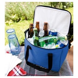 Hielera 12 Pack