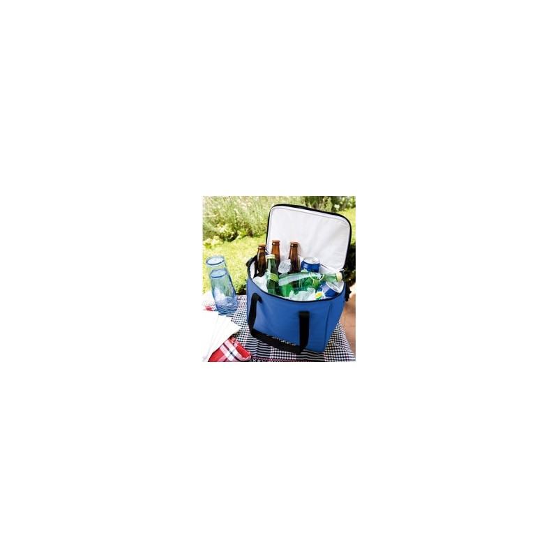 Hielera 12 Pack
