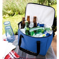 Hielera 12 Pack