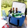 Hielera 12 Pack